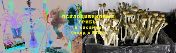 молекула духа Верея